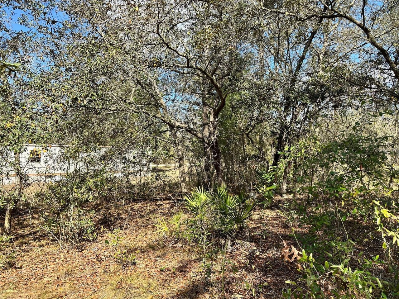 Tbd NE 68th Place, Bronson, FL 32621 Photo