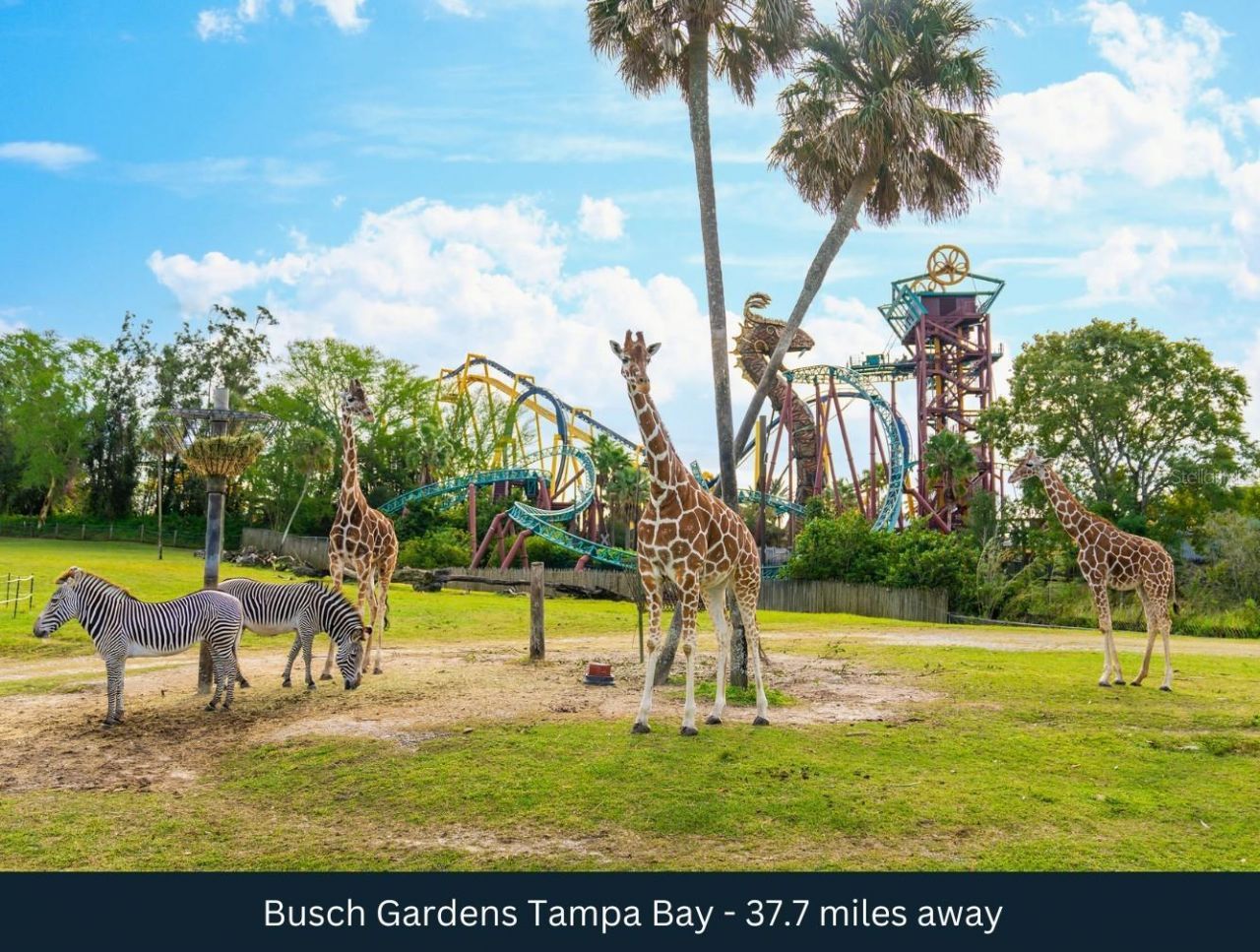 8201 Us Highway 98 N, Lakeland, FL 33809 Photo