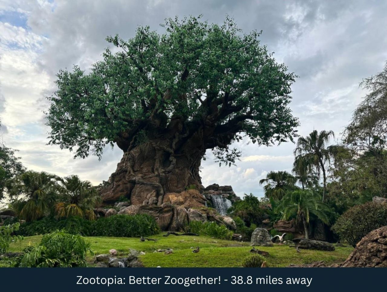 8201 Us Highway 98 N, Lakeland, FL 33809 Photo