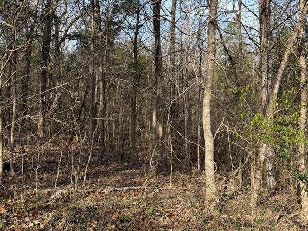 000 Bluff Road, Merriam Woods, MO 65740