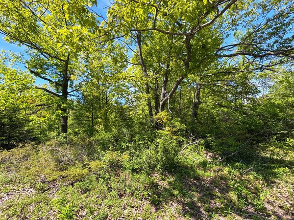 Lot 43 Ponderosa Circle, Presque Isle, MI 49777