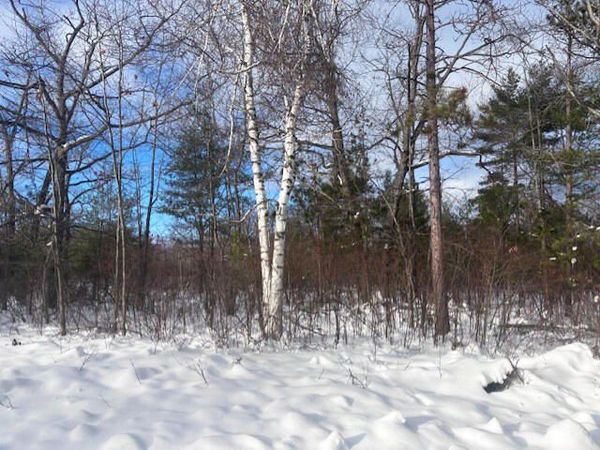 Lot 43 Ponderosa Circle, Presque Isle, MI 49777