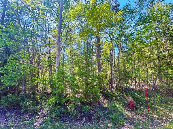Lot 303 Gilmet Drive, Presque Isle, MI 49777