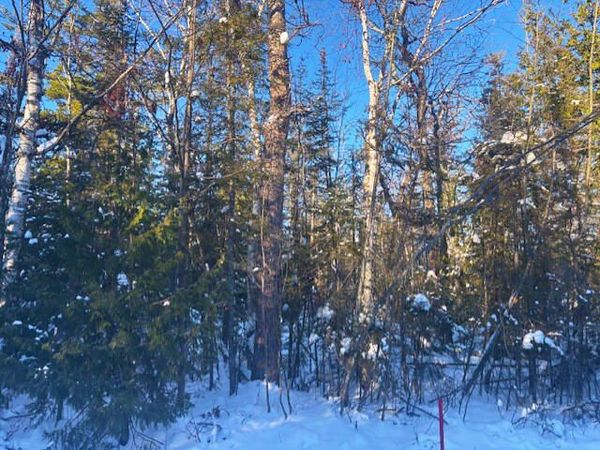 Lot 303 Gilmet Drive, Presque Isle, MI 49777