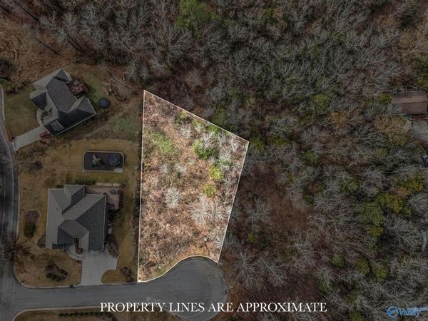 5/6 Kemper Circle, Guntersville, AL 35976