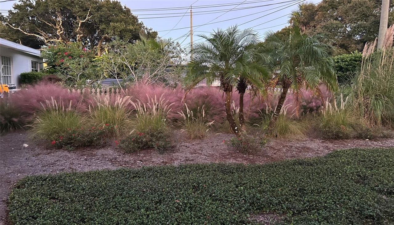 810 E 9th Avenue, New Smyrna Beach, FL 32169 Photo