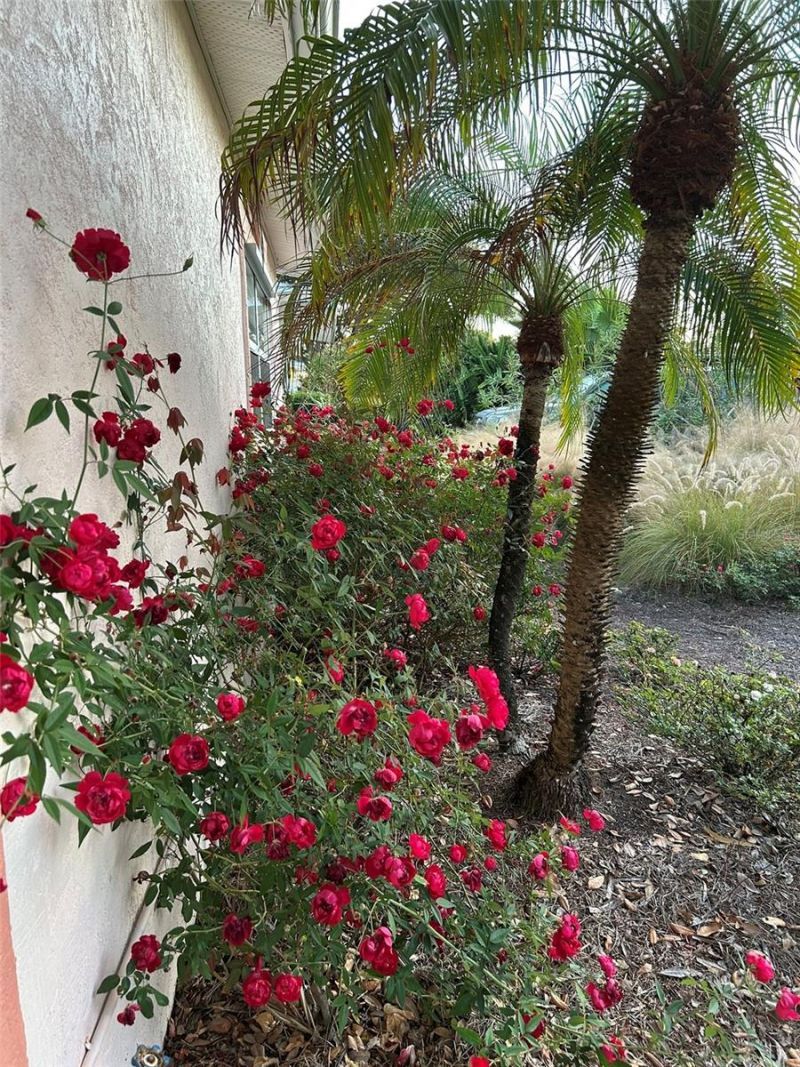 810 E 9th Avenue, New Smyrna Beach, FL 32169 Photo