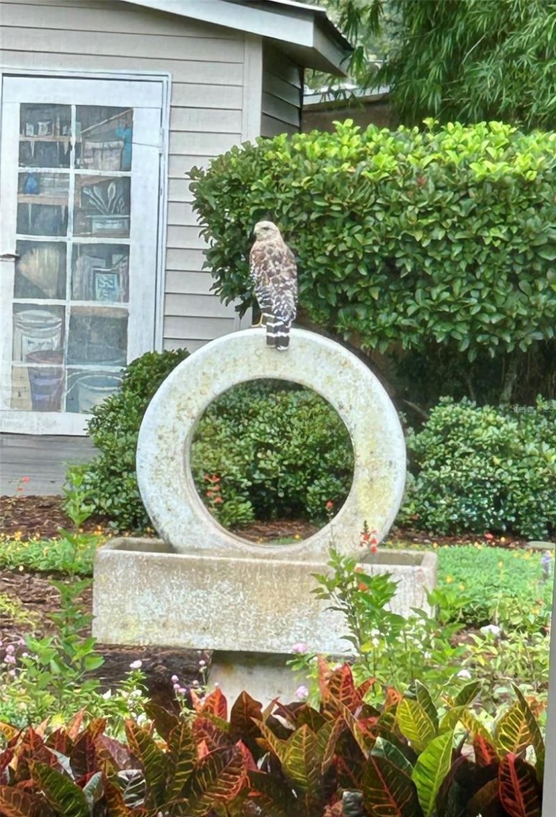 810 E 9th Avenue, New Smyrna Beach, FL 32169 Photo