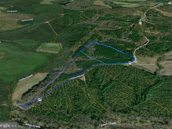 00 HAYES MILL ROAD, BOYDTON, VA 23917