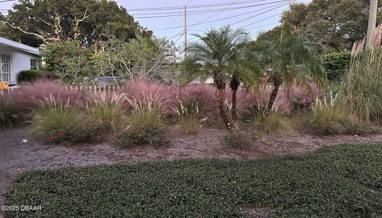 810 E 9th Avenue, New Smyrna Beach, FL 32169 Photo