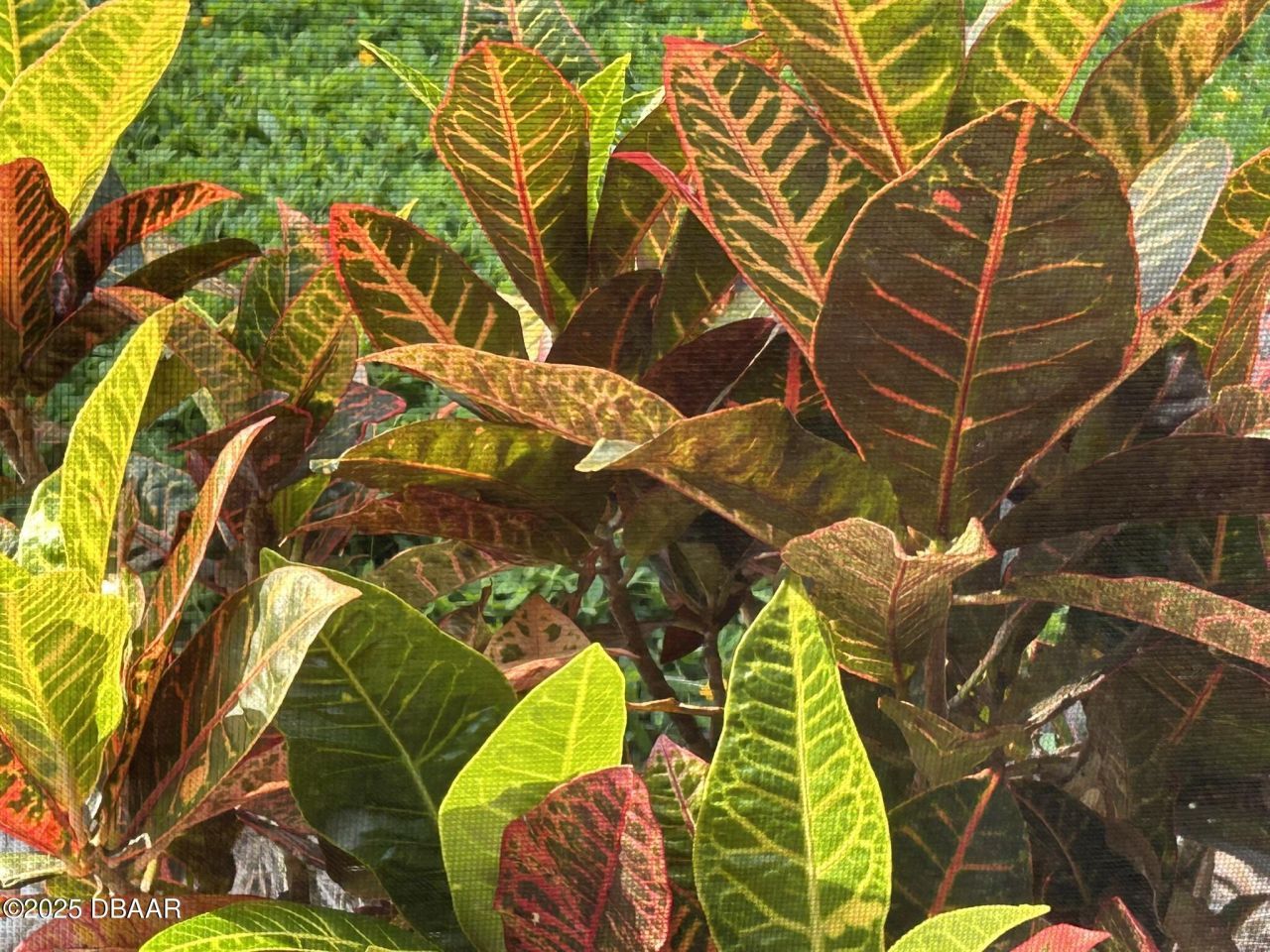 810 E 9th Avenue, New Smyrna Beach, FL 32169 Photo