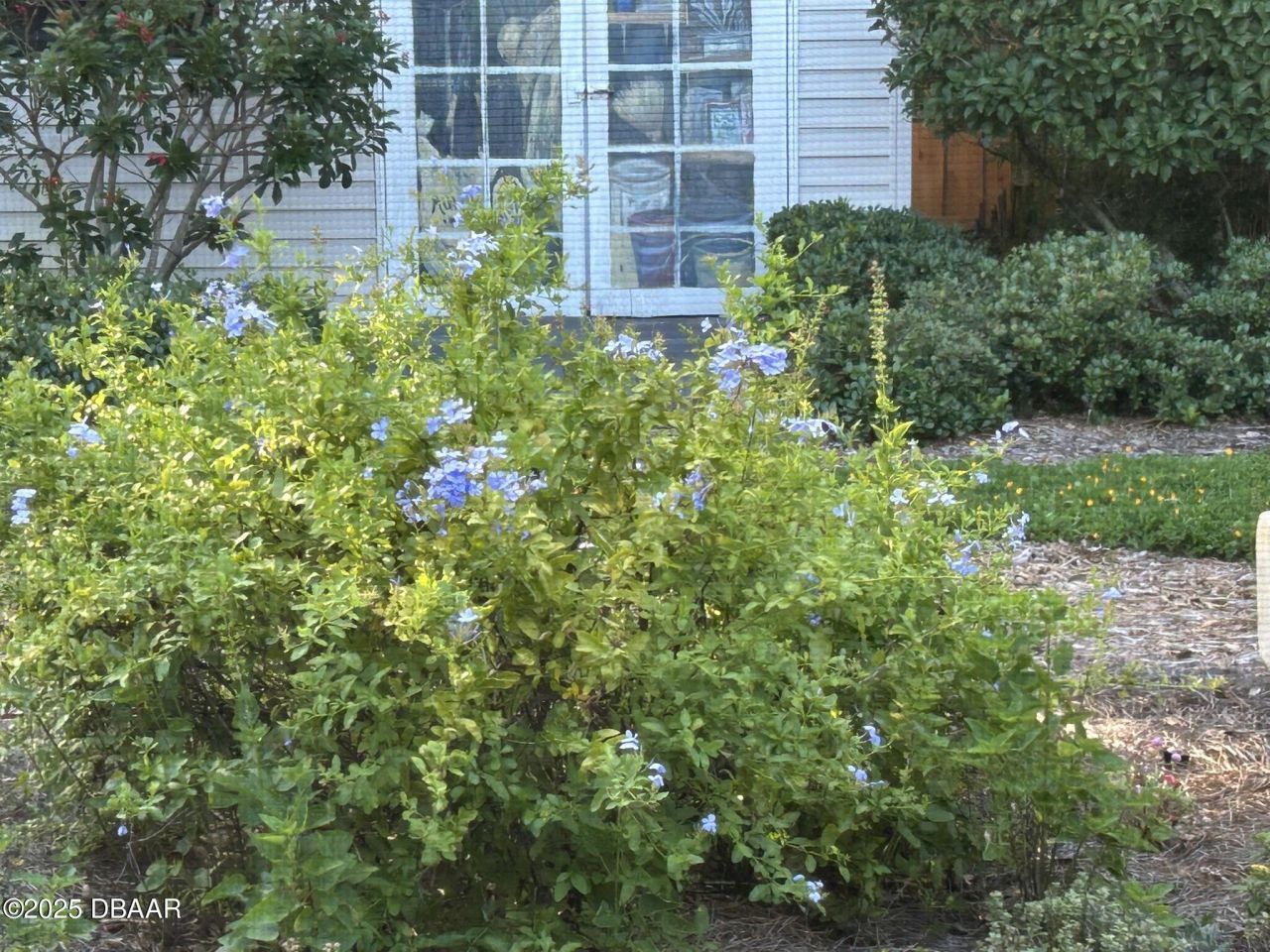 810 E 9th Avenue, New Smyrna Beach, FL 32169 Photo