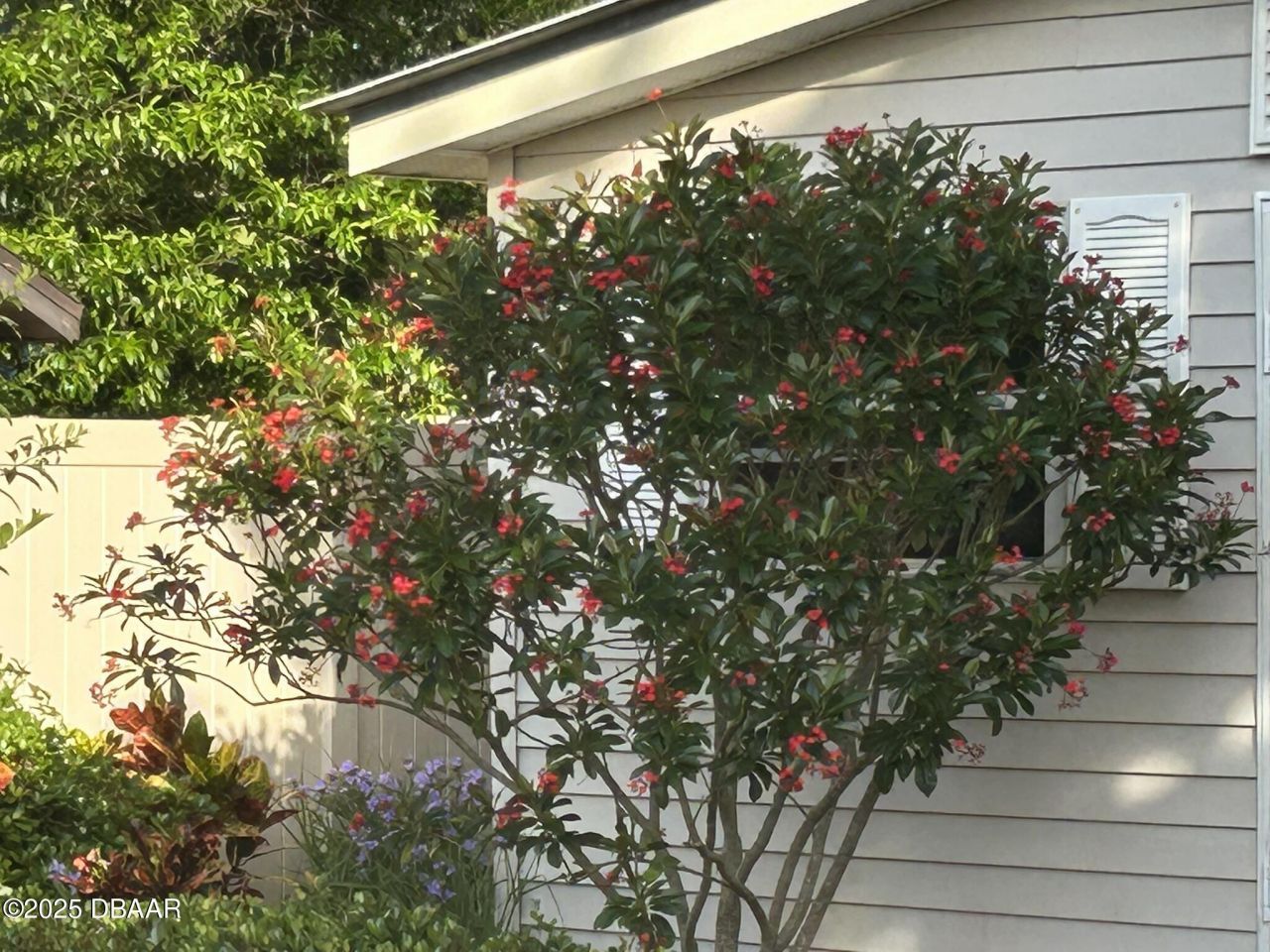 810 E 9th Avenue, New Smyrna Beach, FL 32169 Photo