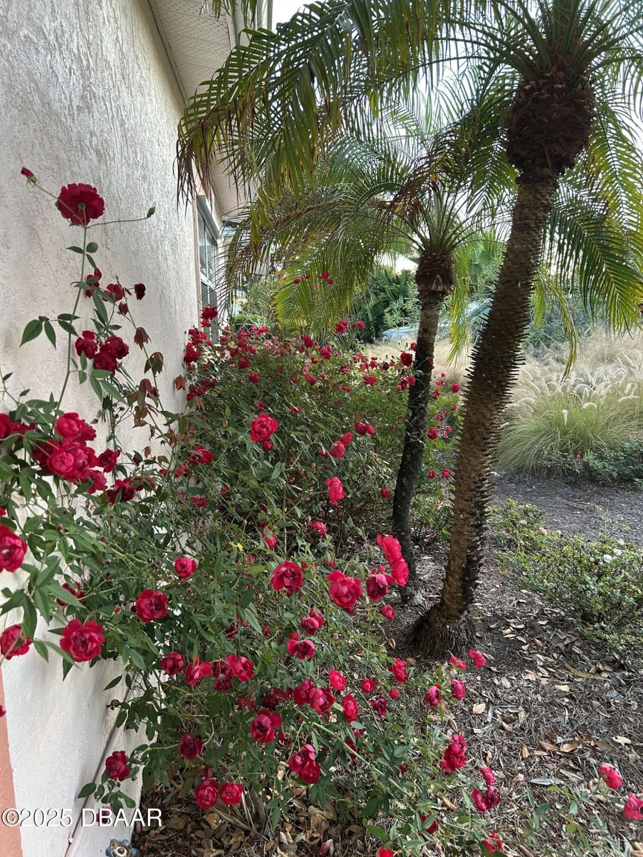 810 E 9th Avenue, New Smyrna Beach, FL 32169 Photo