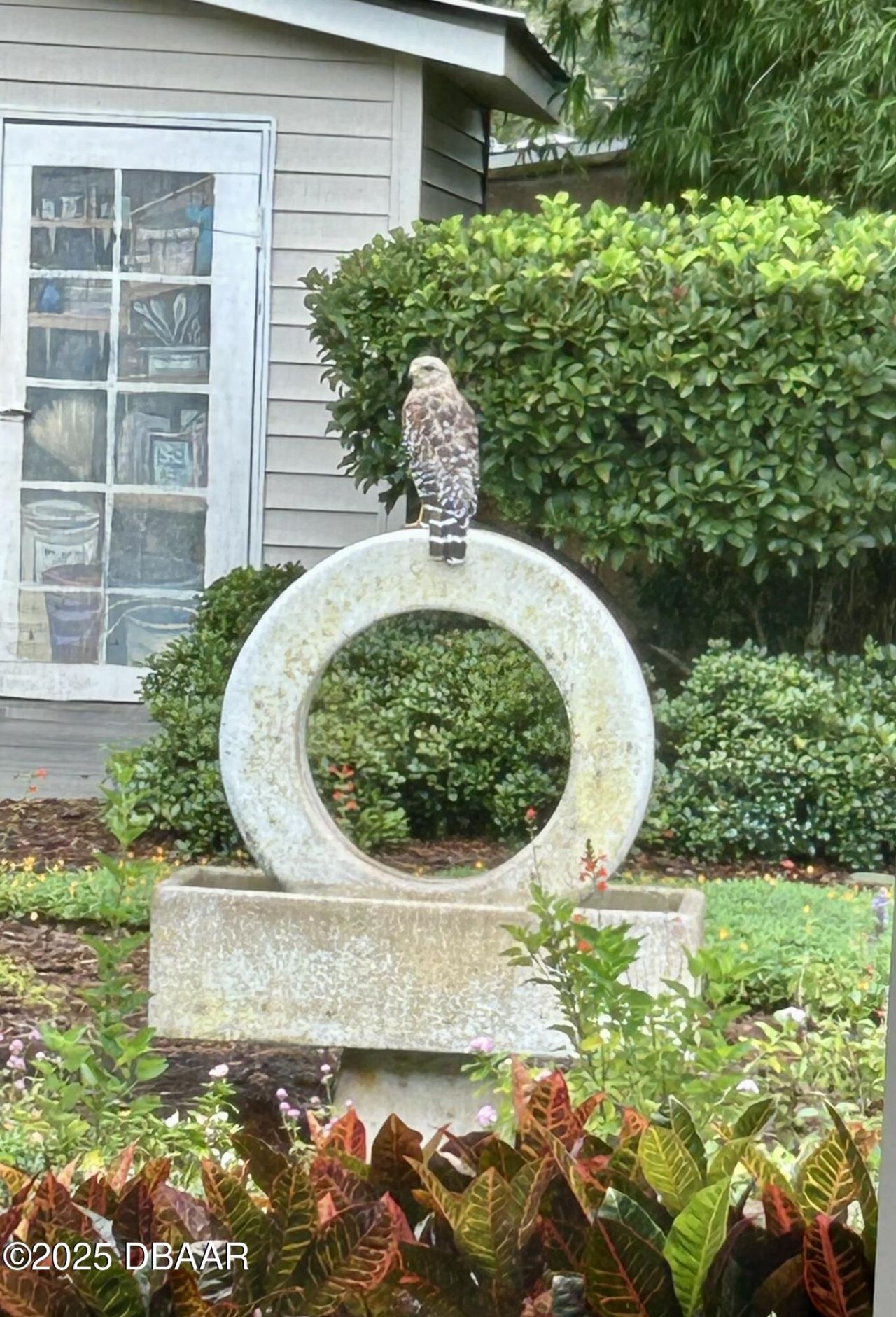 810 E 9th Avenue, New Smyrna Beach, FL 32169 Photo