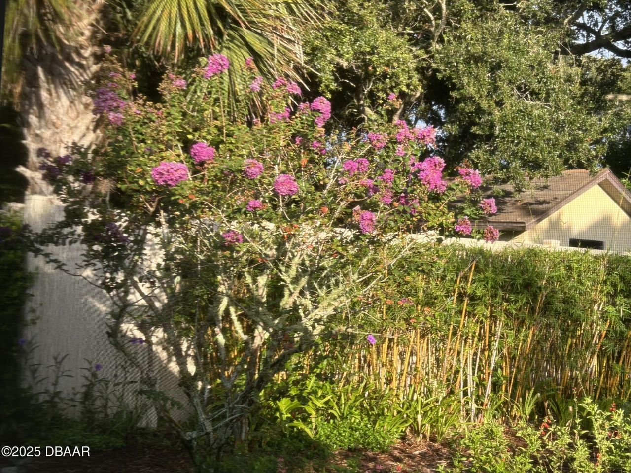 810 E 9th Avenue, New Smyrna Beach, FL 32169 Photo