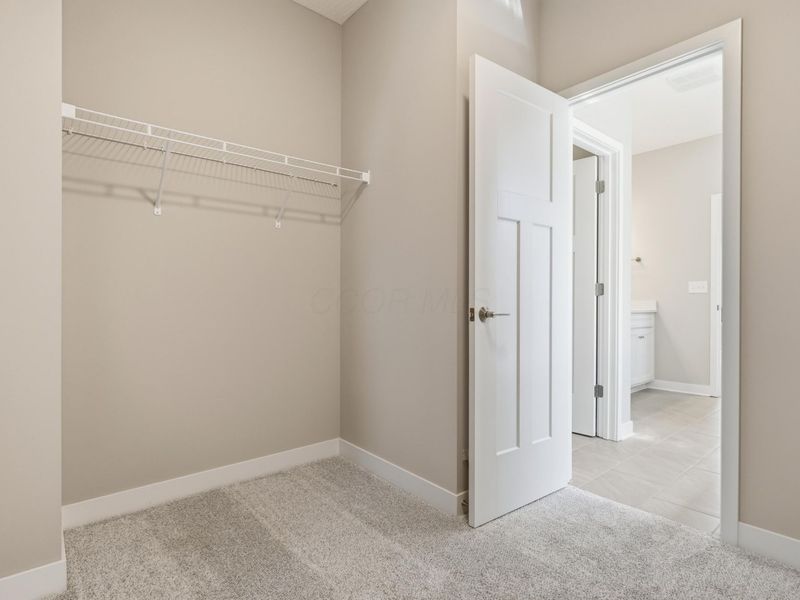 4539 Corsican Loop E, Hilliard, OH 43026 Photo 40