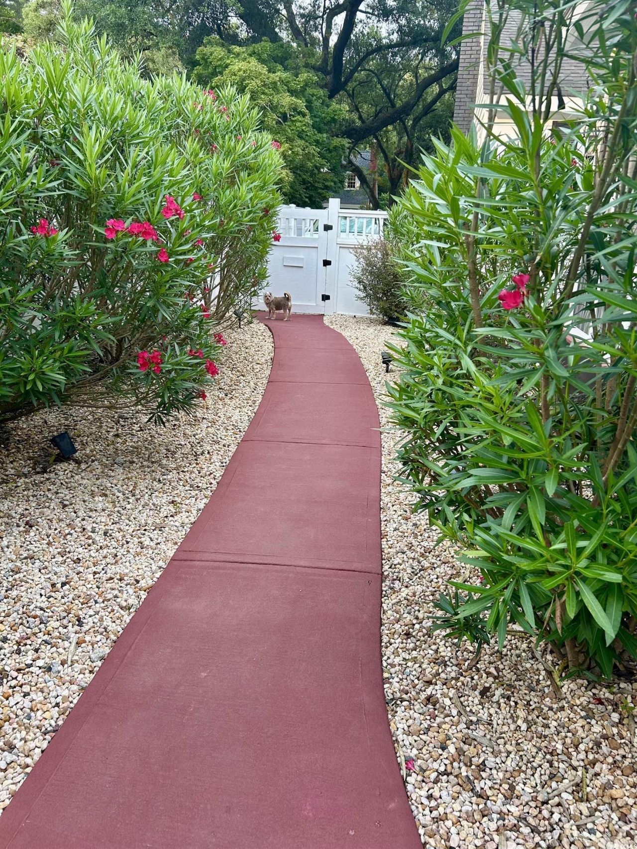 1137 Palmetto St. Photo 32