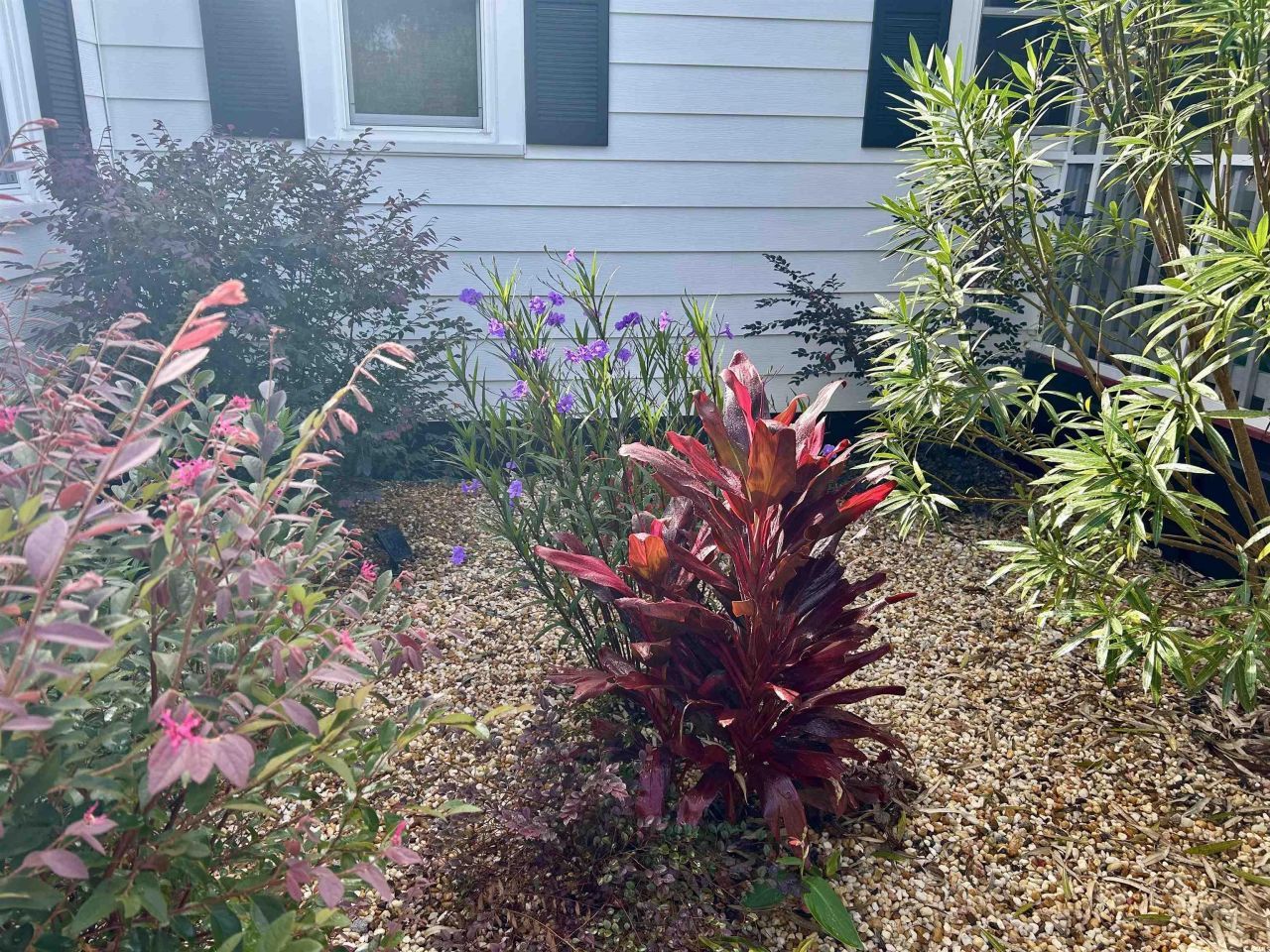 1137 Palmetto St. Photo 37