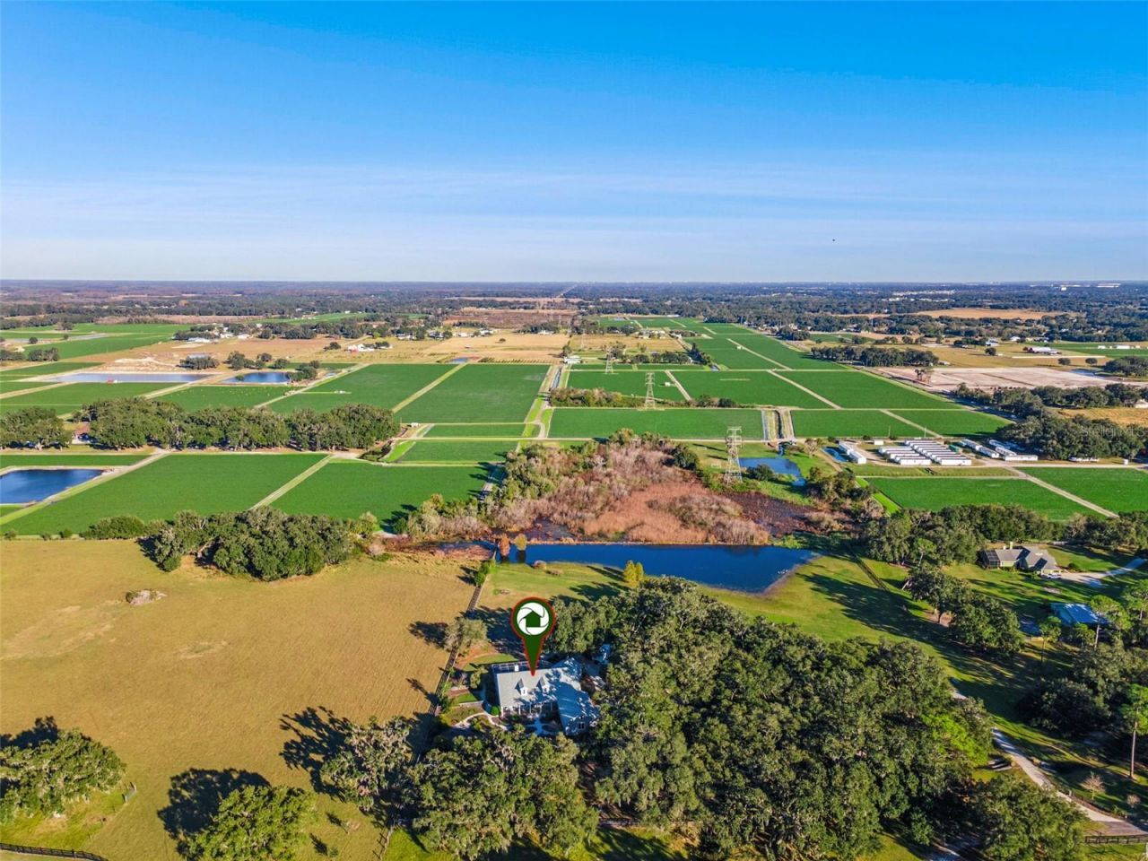 4636 W Knights Griffin Road, Plant City, FL 33565 Photo