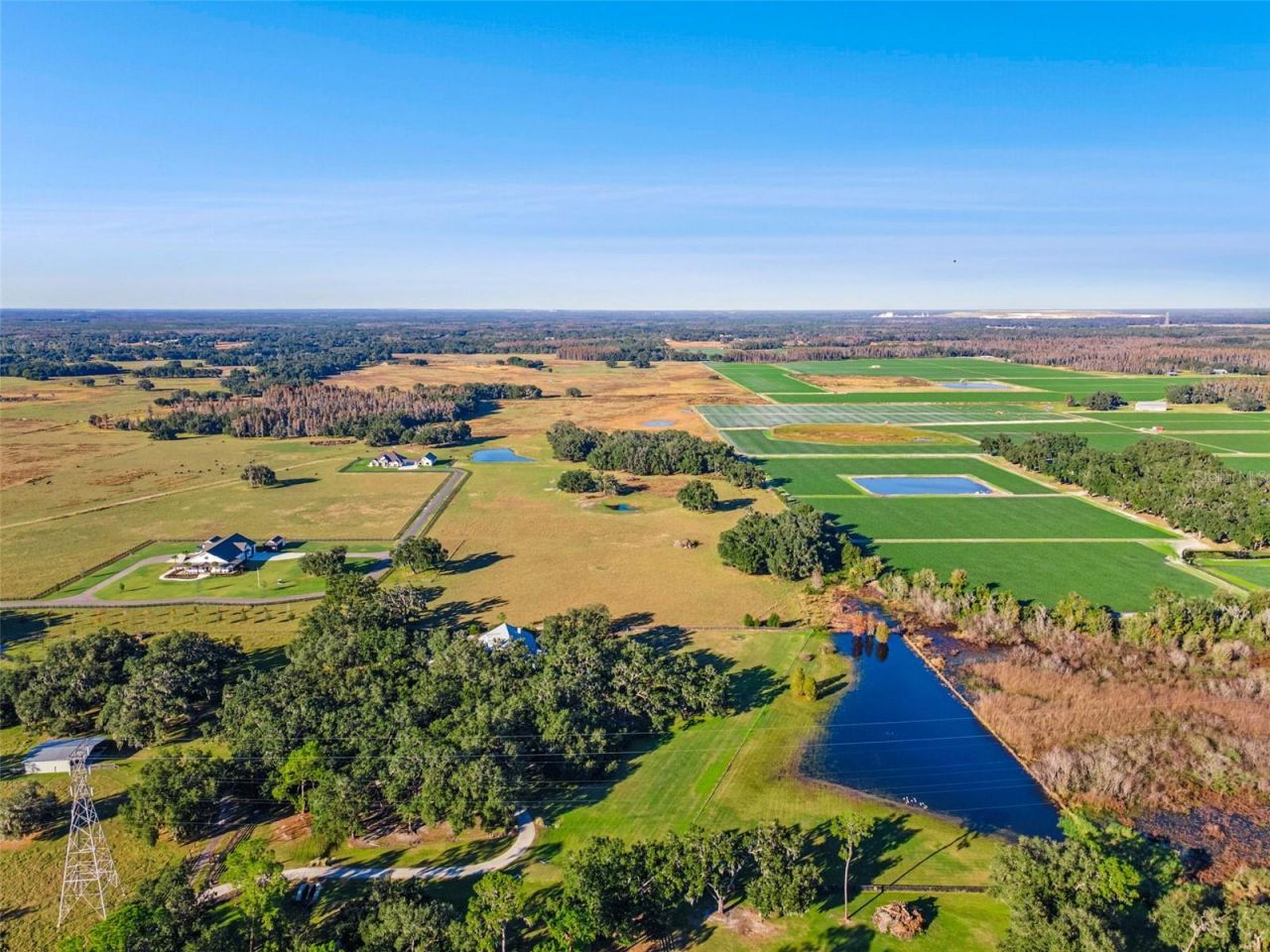 4636 W Knights Griffin Road, Plant City, FL 33565 Photo