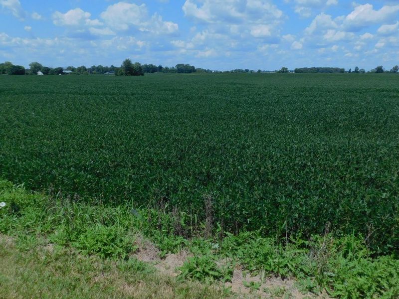 0 Ohio 722, Arcanum, OH 45304 Photo 5