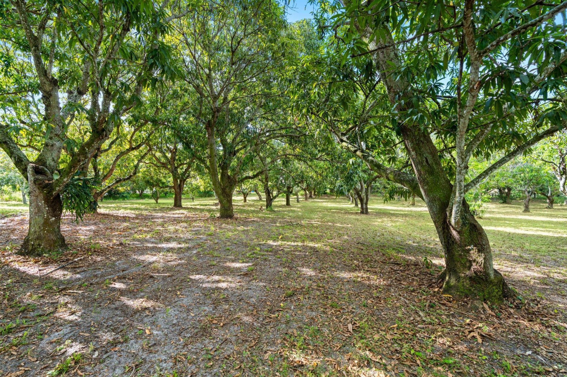 1908 Hypoluxo Road, Lake Worth, FL 33462 Photo