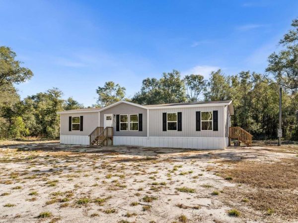 528 NE 389 AVENUE, OLD TOWN, FL 32680