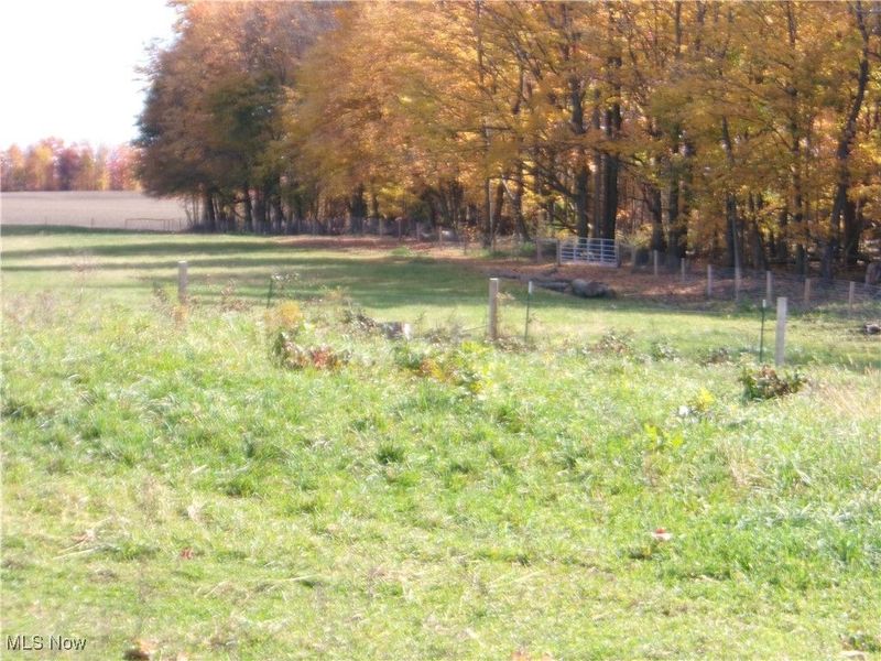 7868 State Route 7, Williamsfield, OH 44093 Photo 7