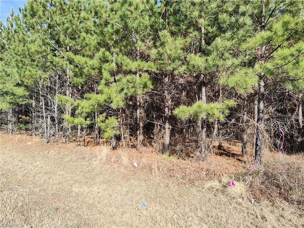 Lot 5 Windblow Road, Jackson Springs, NC 27281
