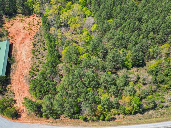0 LONG PINE Lane, Elberton, GA 30635