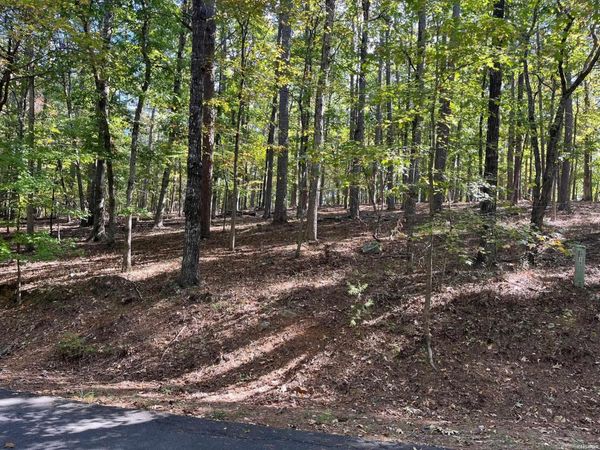 XXX GERONA Circle, Hot Springs Village, AR 71909