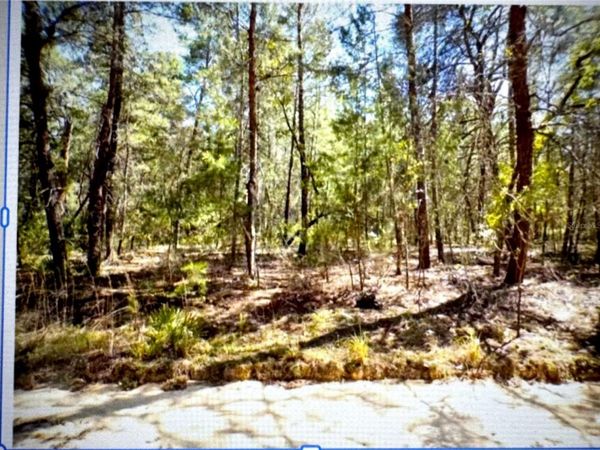 OLD BELLAMY TRAIL, MELROSE, FL 32666