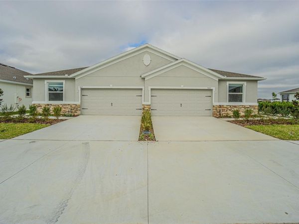 31415 PAPER BIRCH STREET, WESLEY CHAPEL, FL 33545