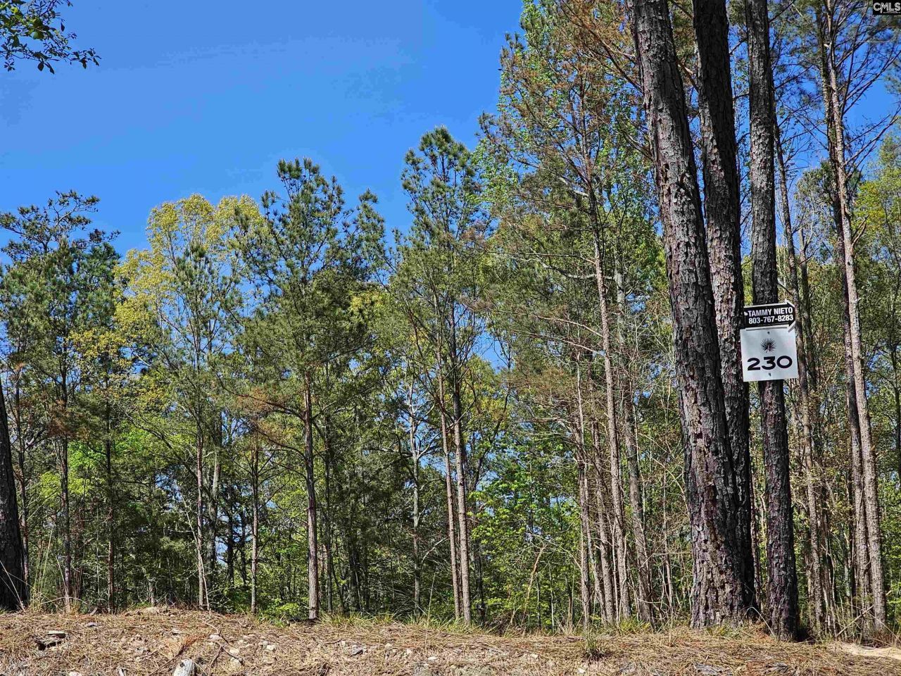 Lot 230 Granny Hill Road  Photo 11