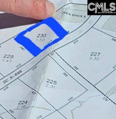 Lot 230 Granny Hill Road  Photo 4