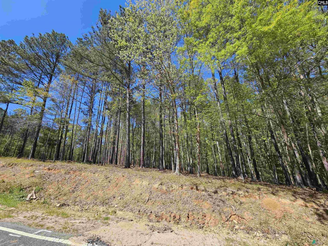 Lot 230 Granny Hill Road  Photo 9