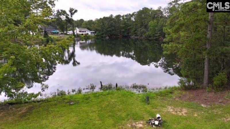 613 Skyline Drive  Photo 4