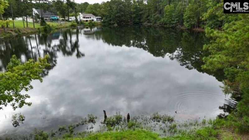 613 Skyline Drive  Photo 43