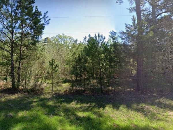 4890 Fm 19 , Palestine, TX 75803