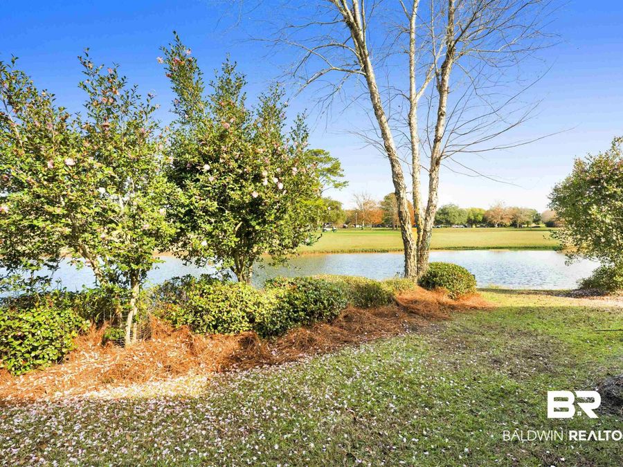 Property Image 59