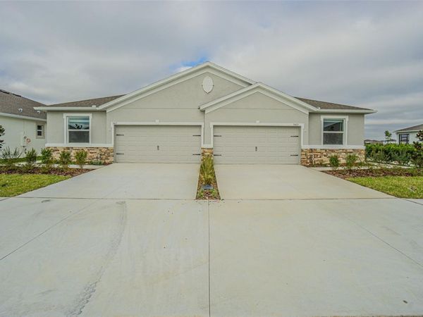 31423 PAPER BIRCH STREET, WESLEY CHAPEL, FL 33545