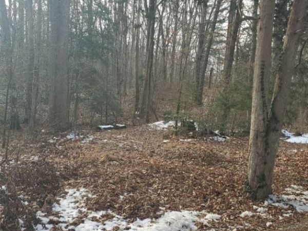 12701 Kain Road , Glen Allen, VA 23059