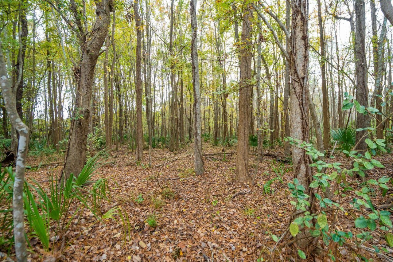 3531 Stockton Drive Photo 69