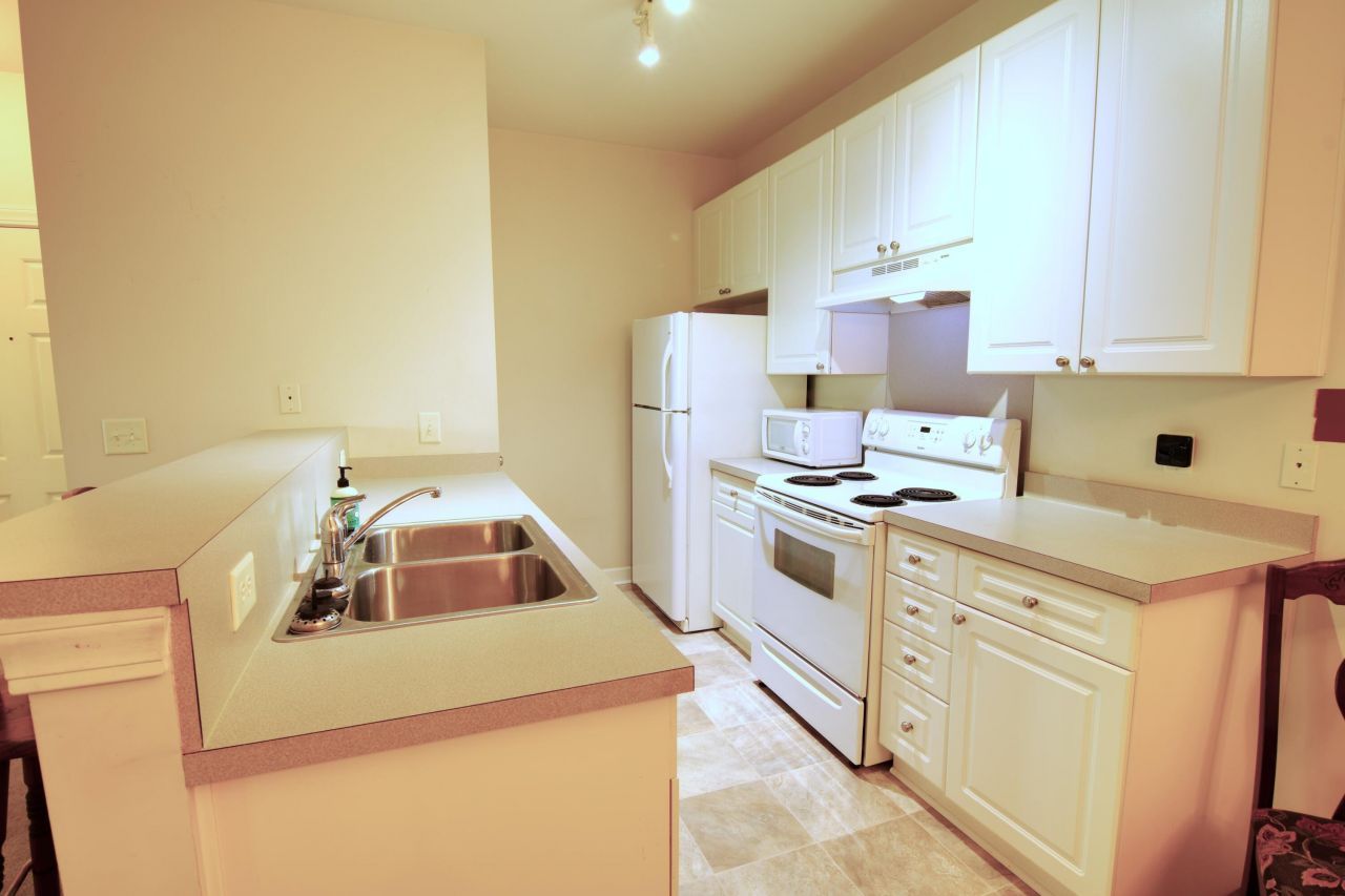 1303 Grove Park Drive Photo 9