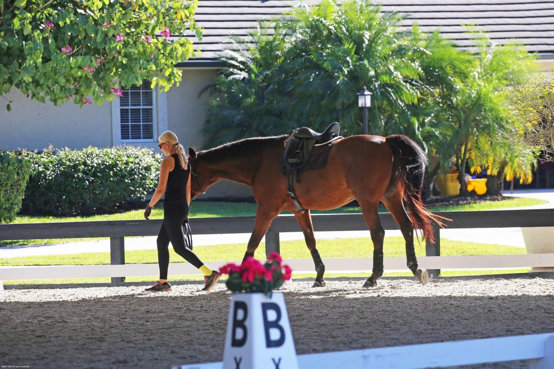 14334 Wellington Trace, Wellington, FL 33414 Photo