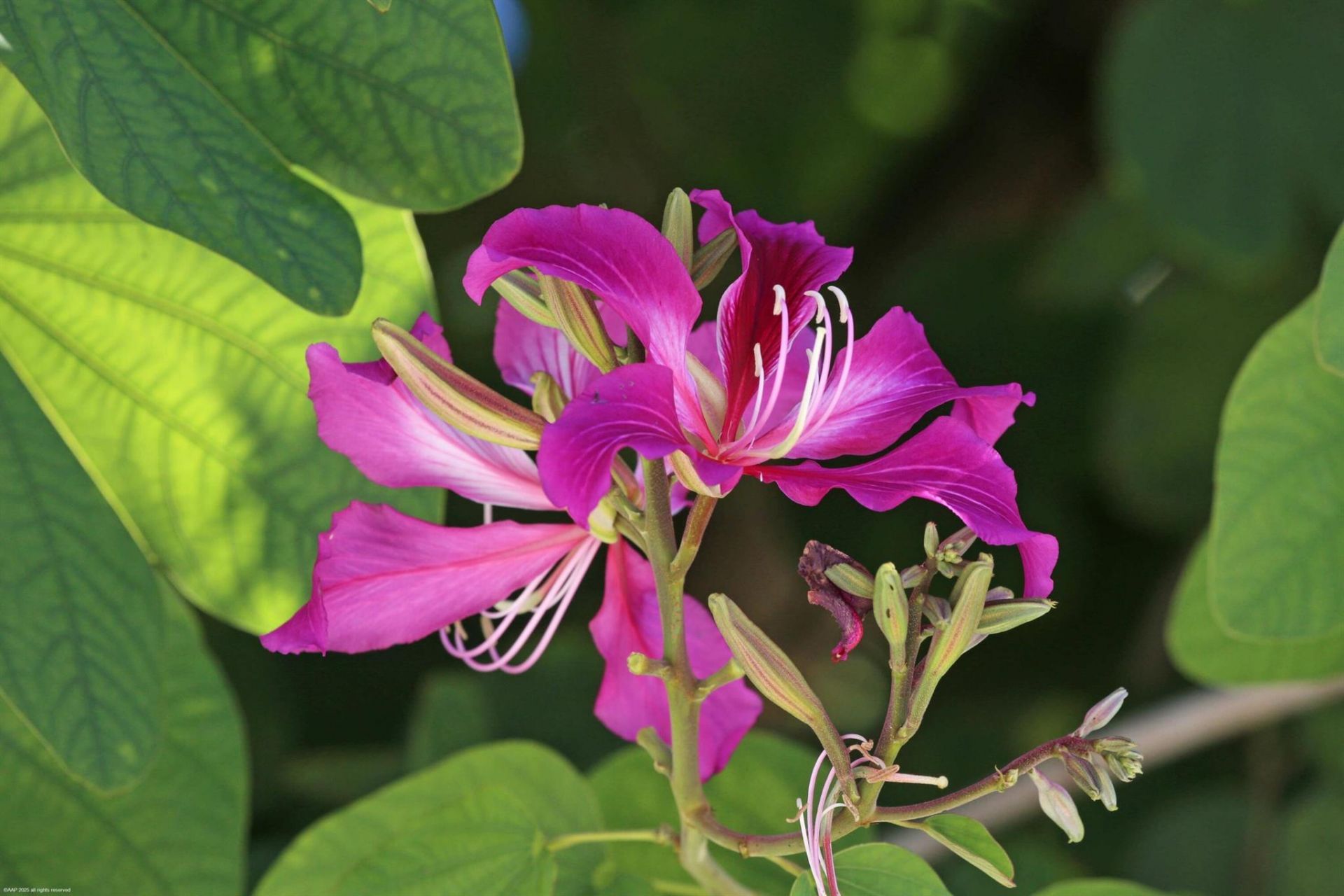 14334 Wellington Trace, Wellington, FL 33414 Photo