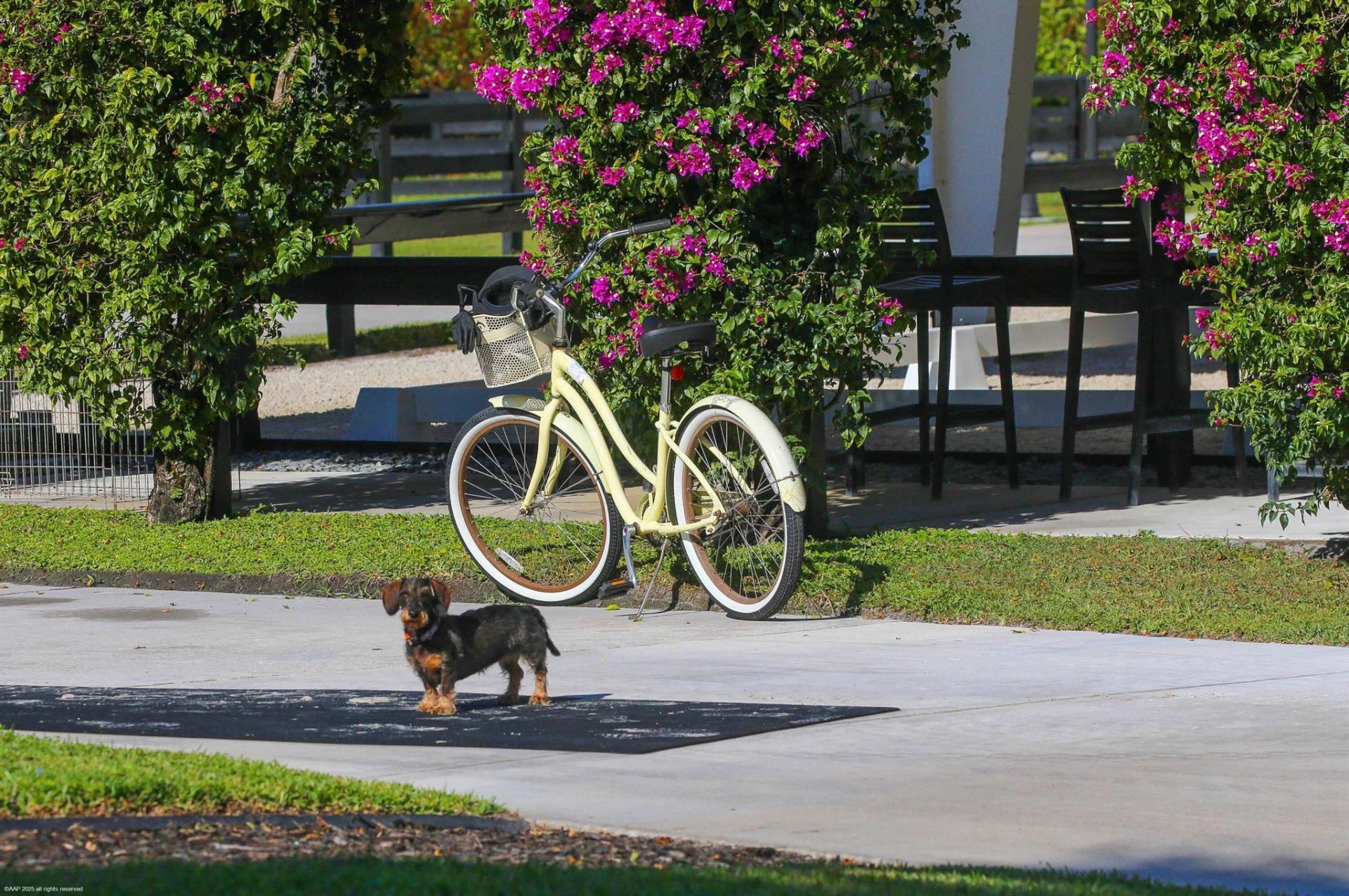 14334 Wellington Trace, Wellington, FL 33414 Photo