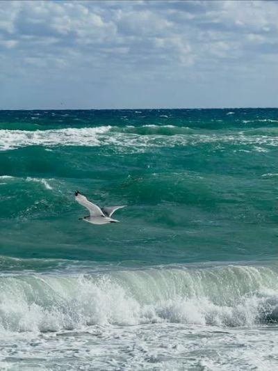 722 Ocean Dunes Circle, Jupiter, FL 33477 Photo