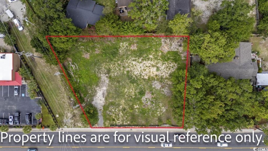 1251 Dick Pond Rd. Photo 4